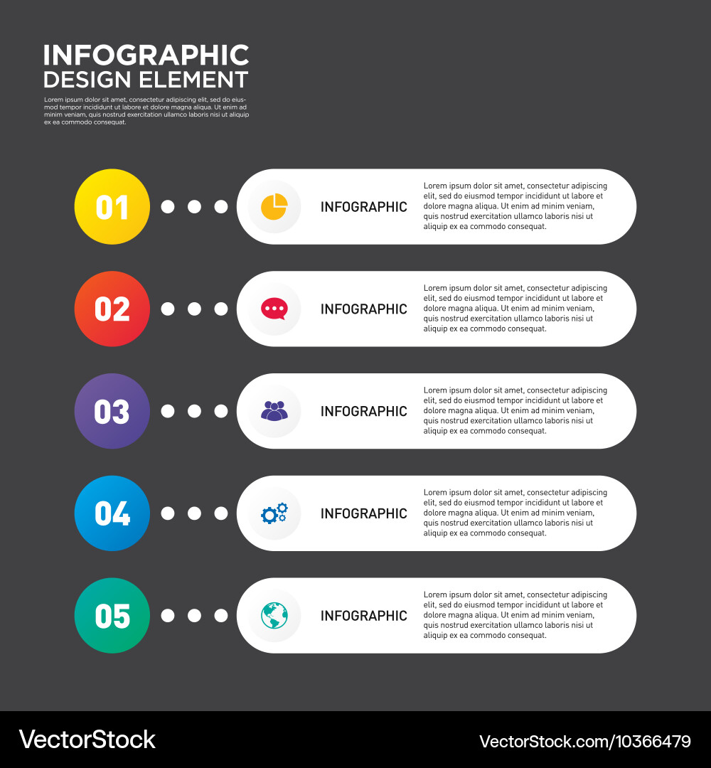Infographic business report template layout vector image
