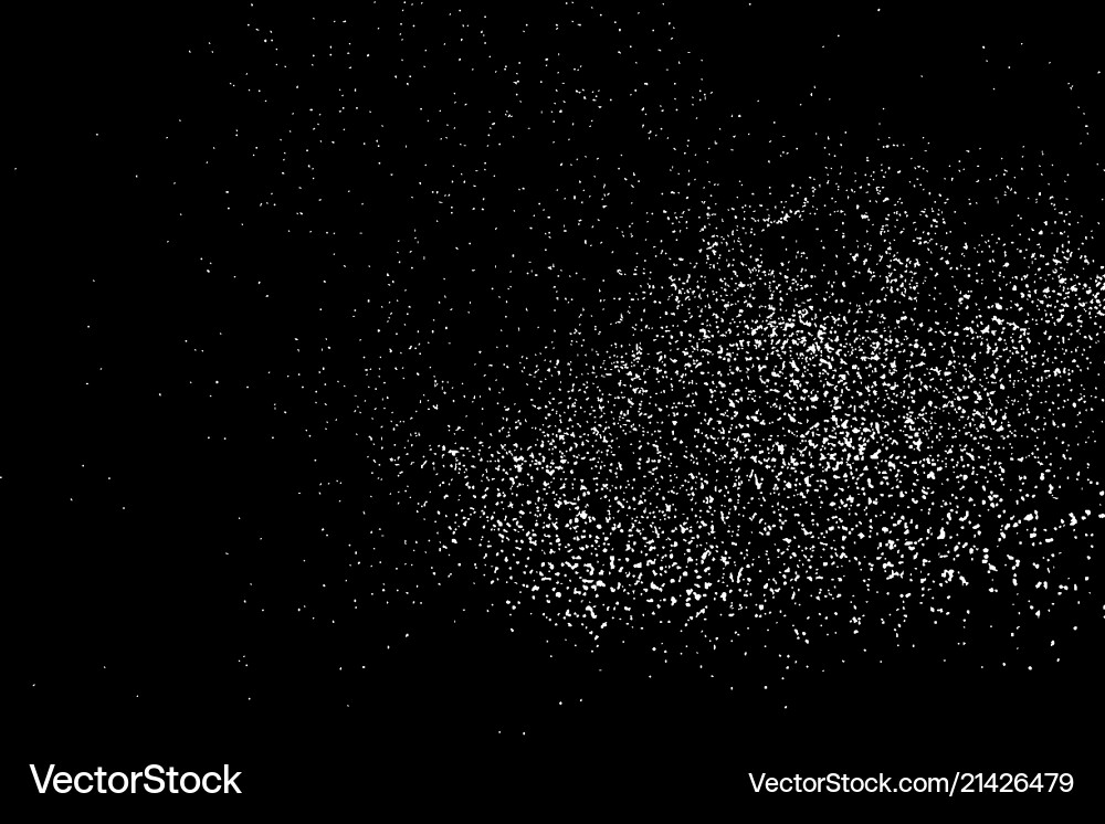Snowflake Texture vector image