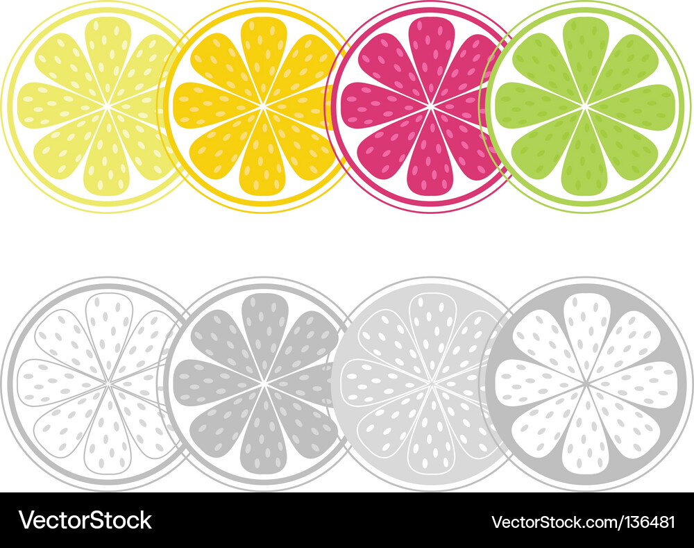 Citrus Slice Background Vector Image