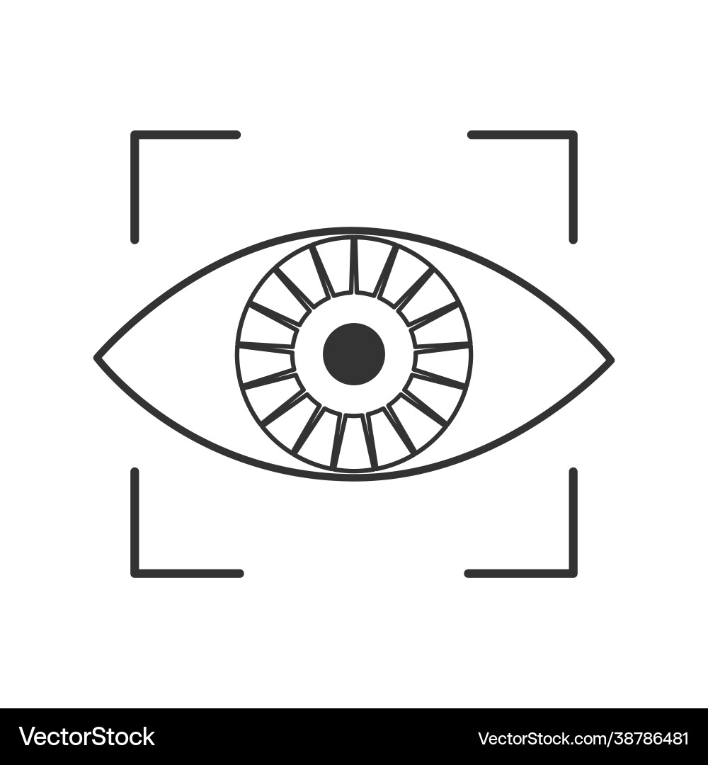 Iris Recognition Biometric Scan vector image