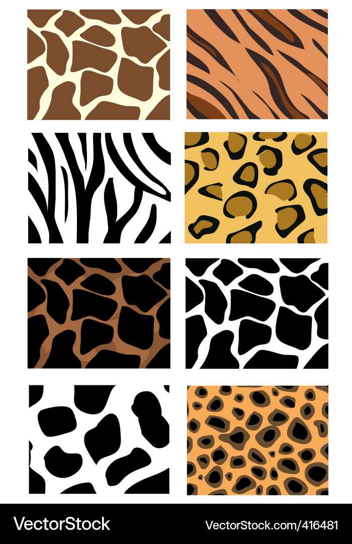 Zebra Print Patterns Vector Image