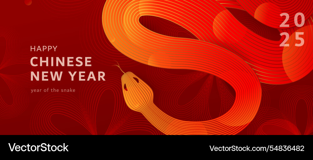 Chinese new year 2025 background asian Chinese new year 2025 background asian vector image