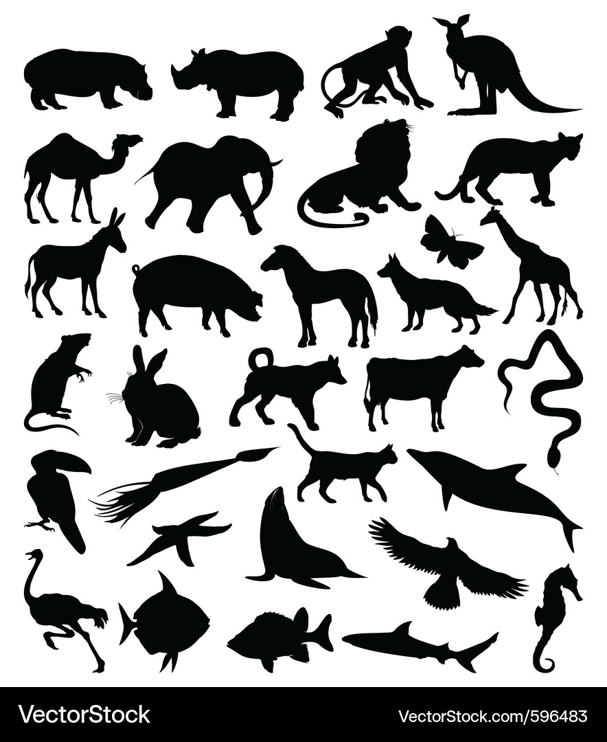 Wildlife Silhouettes Vector Image
