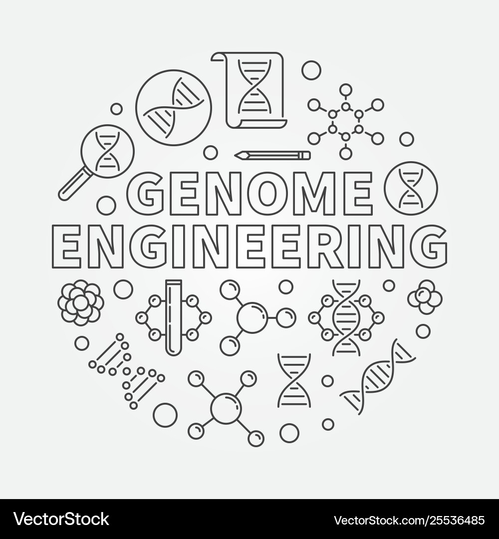Genome engineering round outline Royalty Free Vector Image
