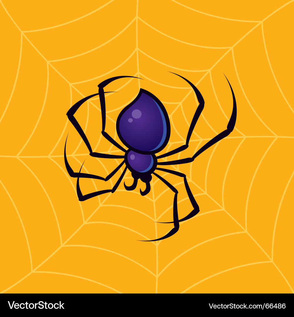 Cartoon Spider in Web vector image