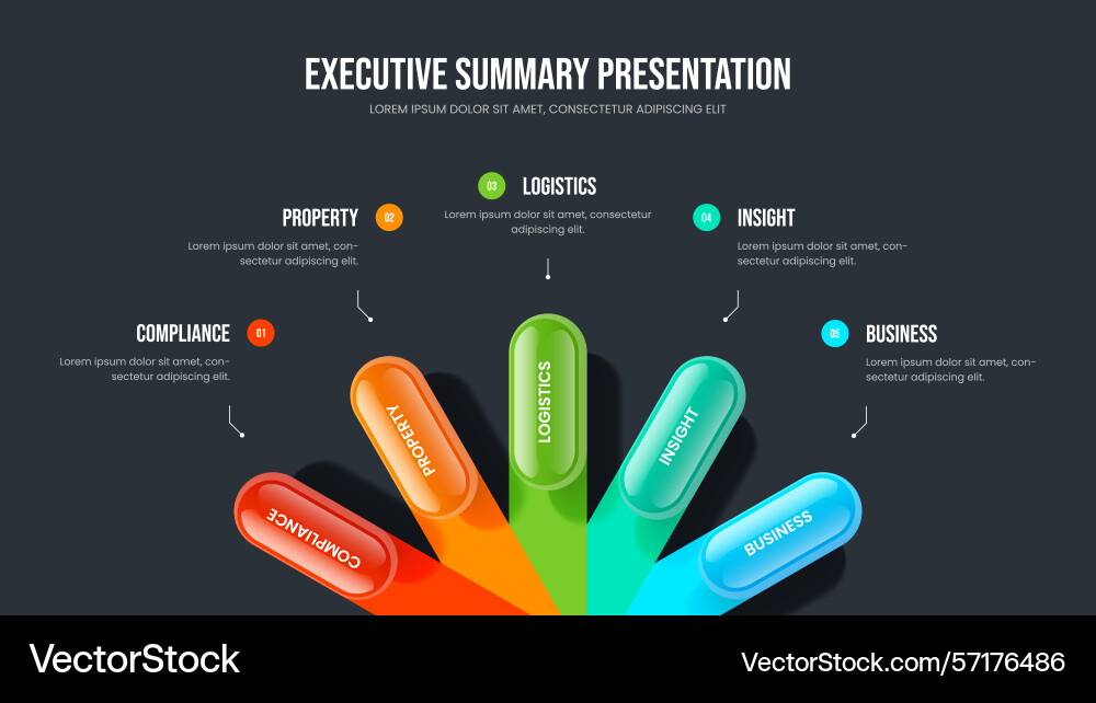 Digital launch 5 element infographic slideshow Digital launch 5 element infographic slideshow vector image