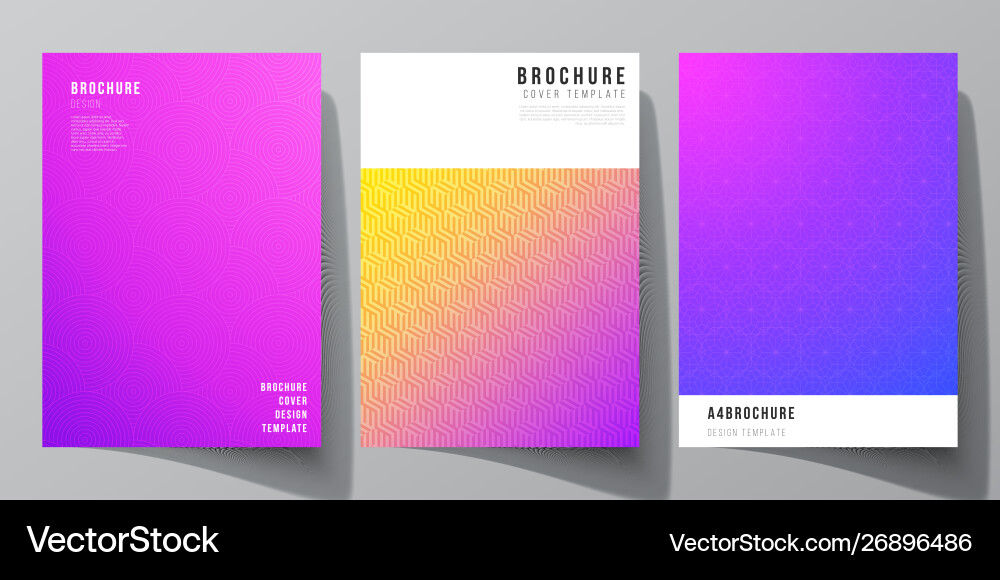 Layout a4 format modern cover vector image