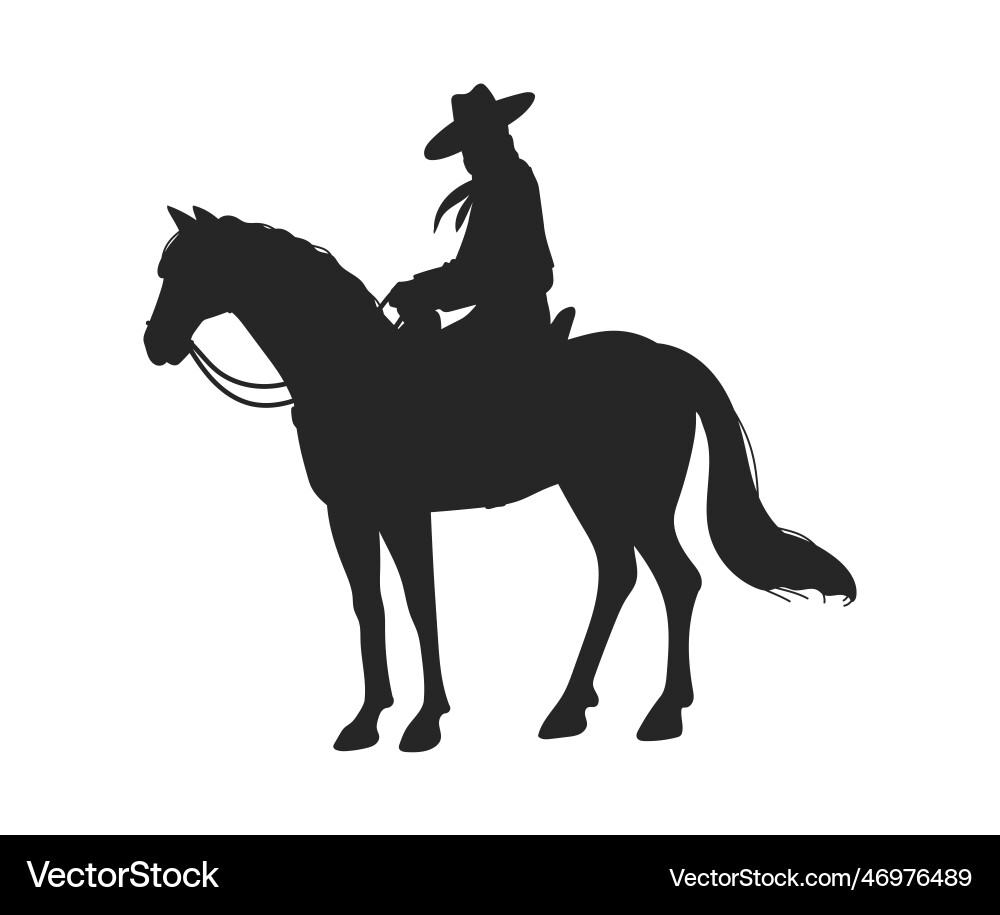 Lone Cowboy Silhouette vector image