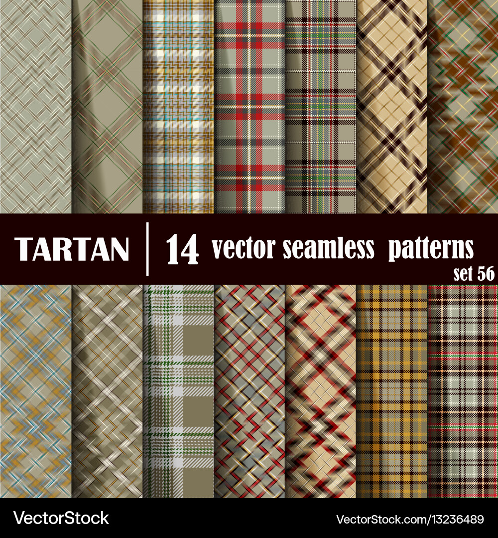 Set tartan seamless pattern Royalty Free Vector Image
