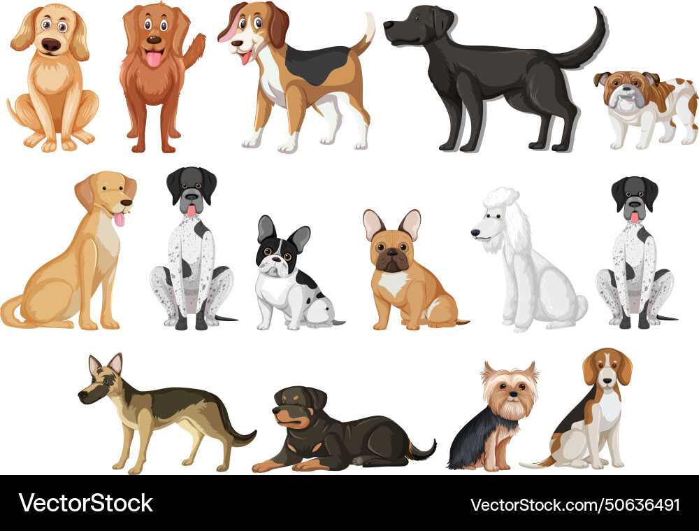 Collection of various cartoon dog breeds standing vector image