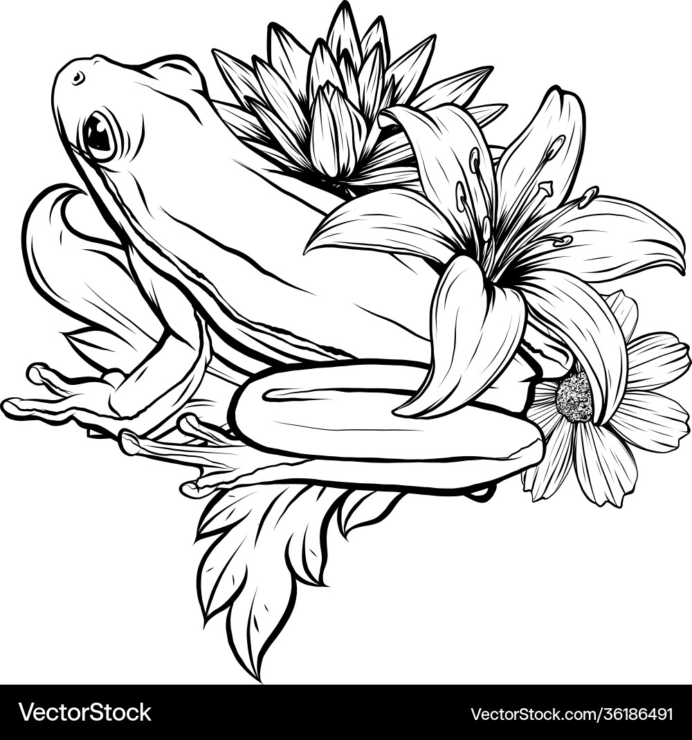 Ornate Black and White Doodle Frog Vector Image