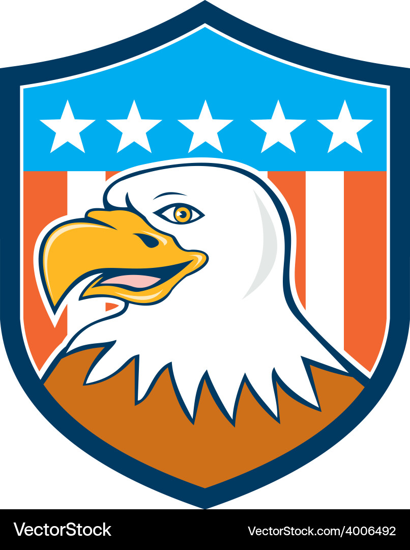 American bald eagle head smiling flag cartoon – Royalty-Free Vector |  VectorStock, image size:806x1080