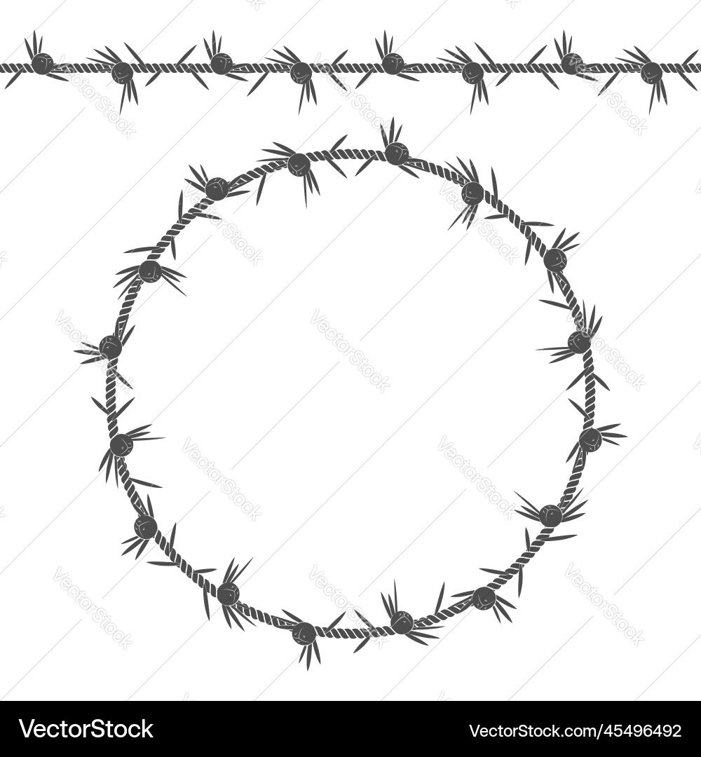 Seamless pattern and frame of cord with juniper Seamless pattern and frame of cord with juniper vector image