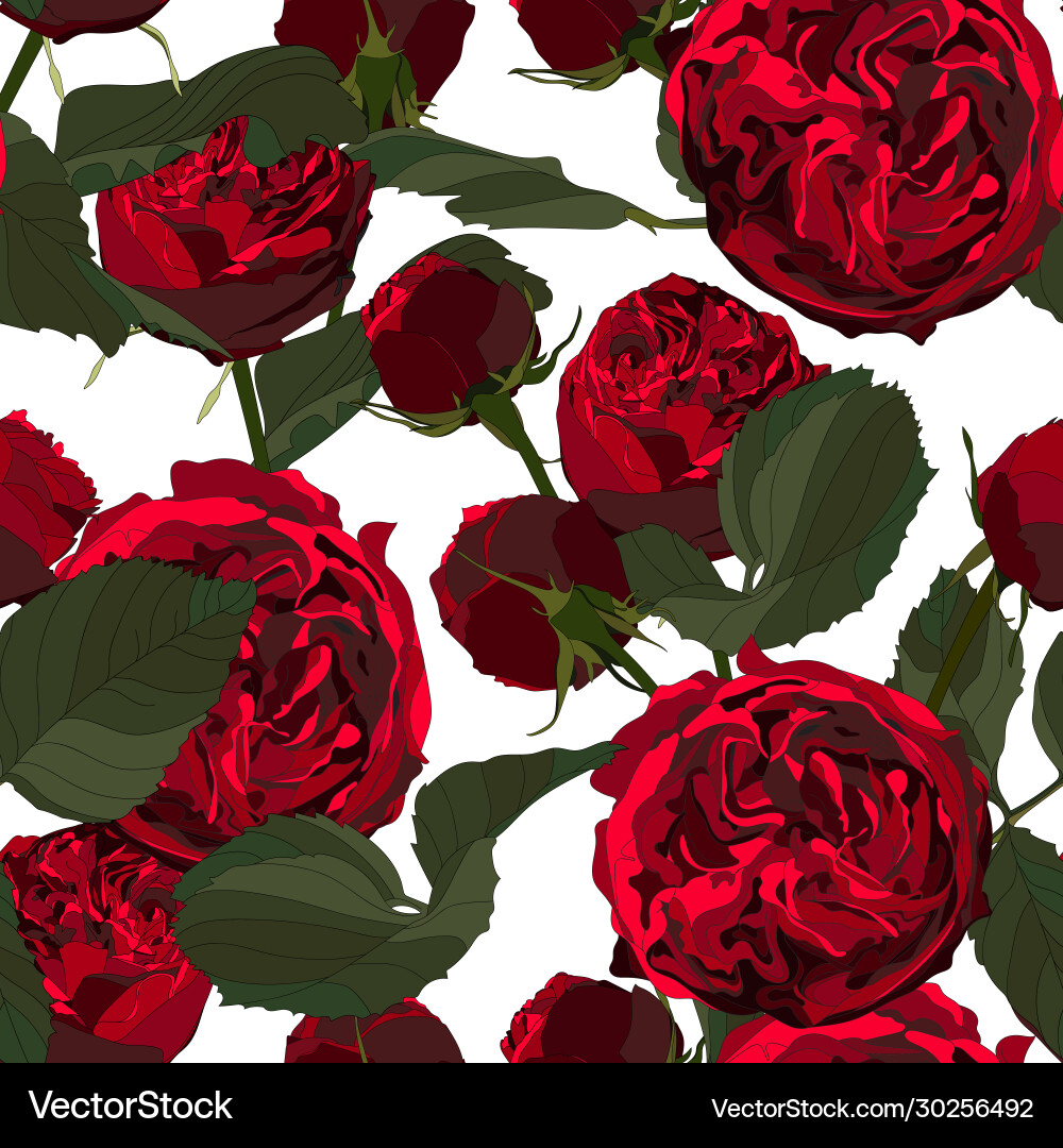 Seamless pattern with red roses – Royalty-Free Vector | VectorStock