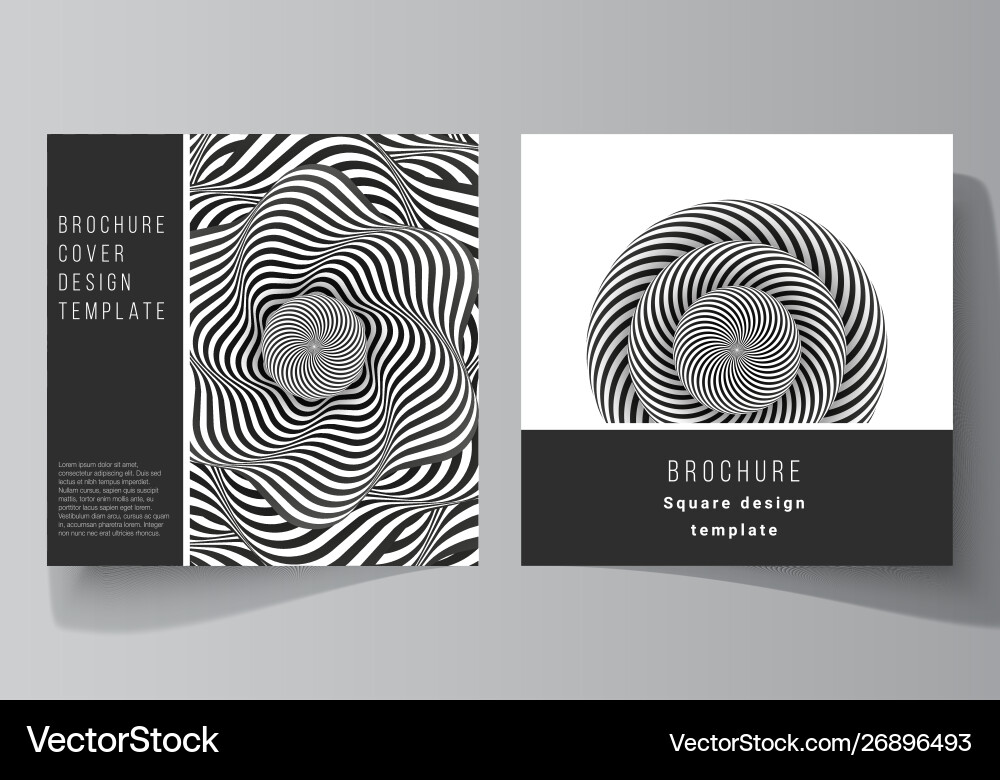 Minimal layout two square format Minimal layout two square format vector image