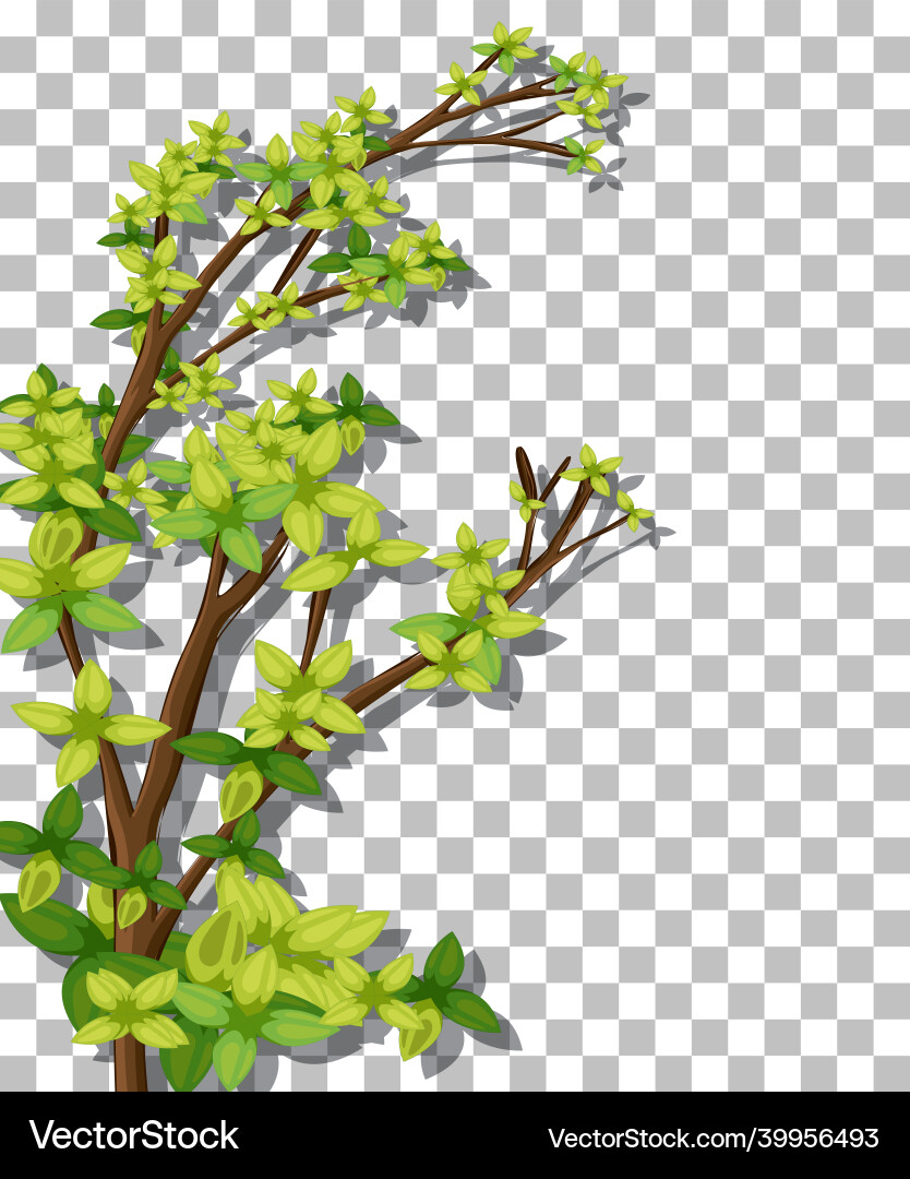 Tree on transparent background vector image