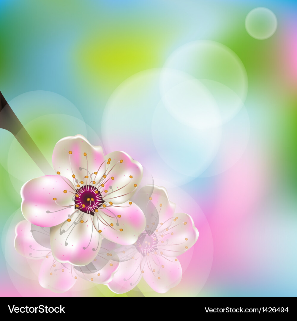 Spring flower Royalty Free Vector Image - VectorStock