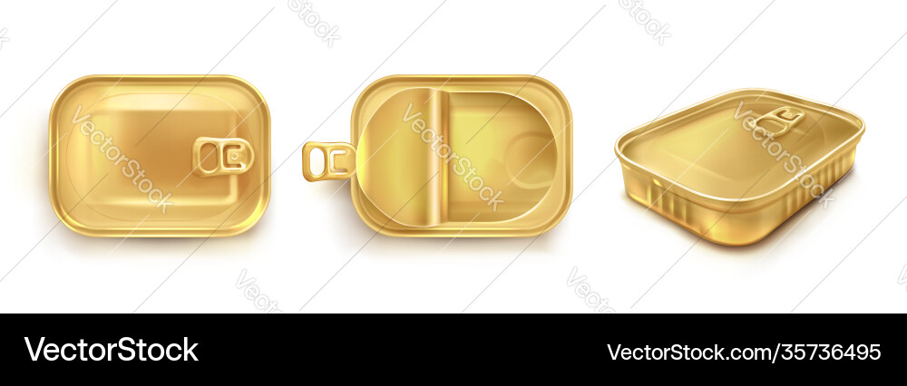 Goldene Dose für Sardine in Draufsicht Goldene Dose für Sardine in Draufsicht vektorbild