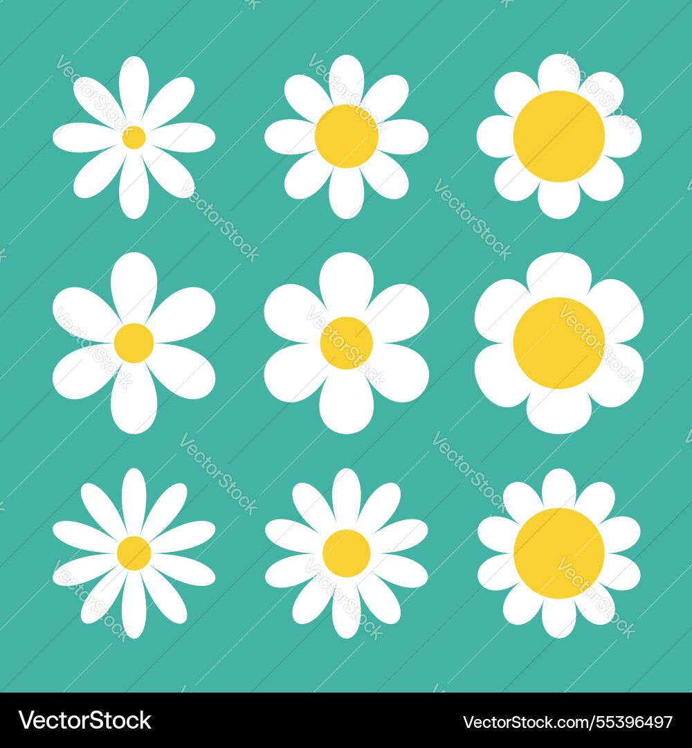 Daisy chamomile set nine camomile white icon cute Daisy chamomile set nine camomile white icon cute vector image