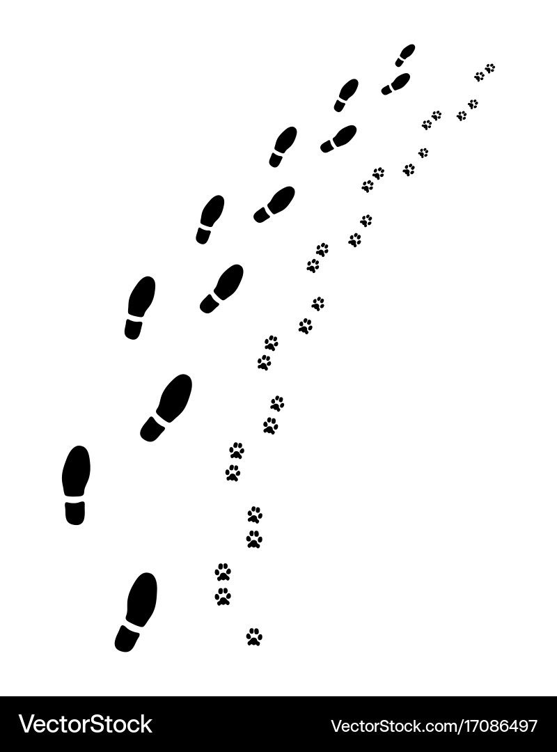 Footprints in Sand vector image