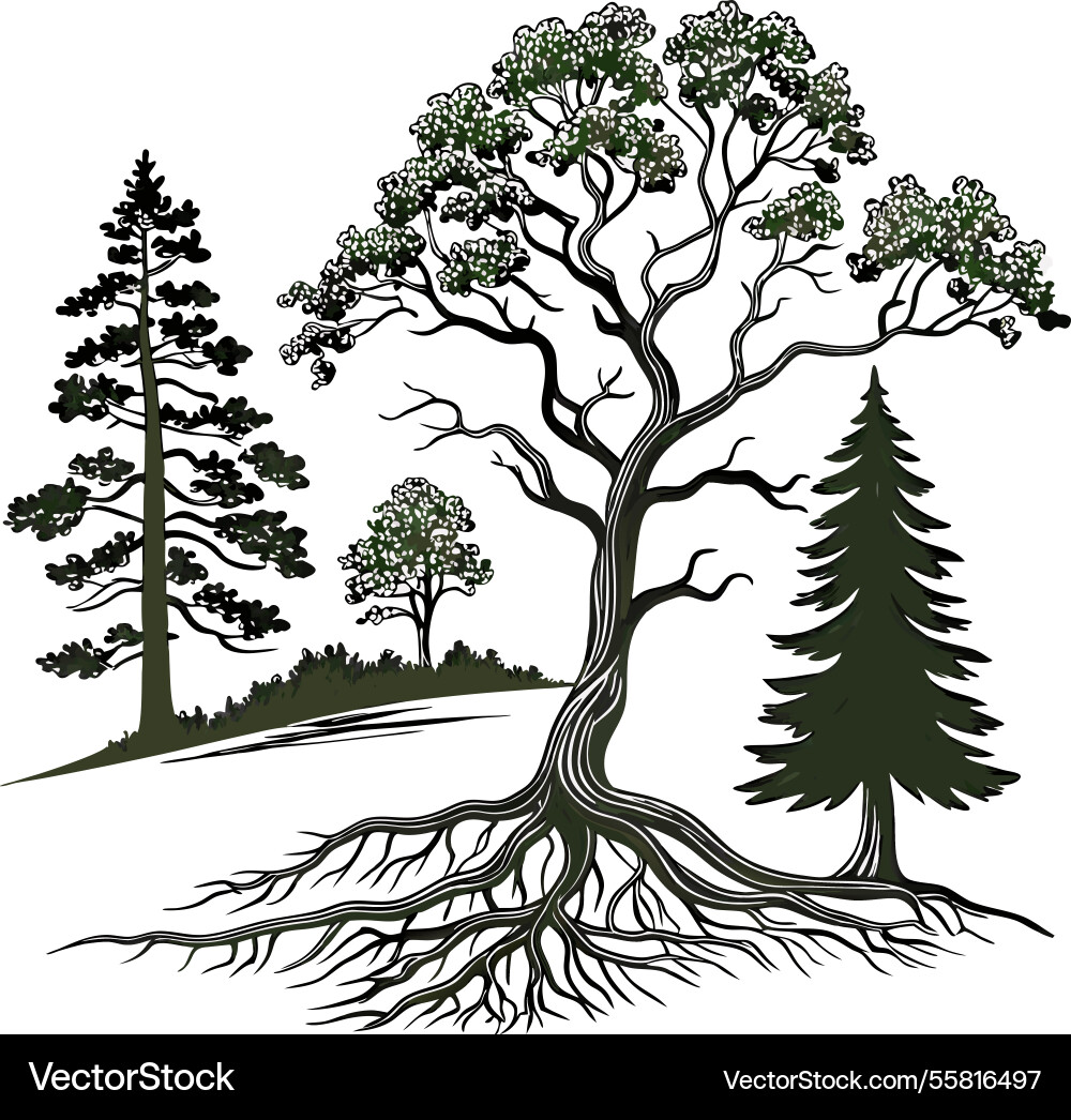 Tree silhouette collection image Tree silhouette collection image vector image