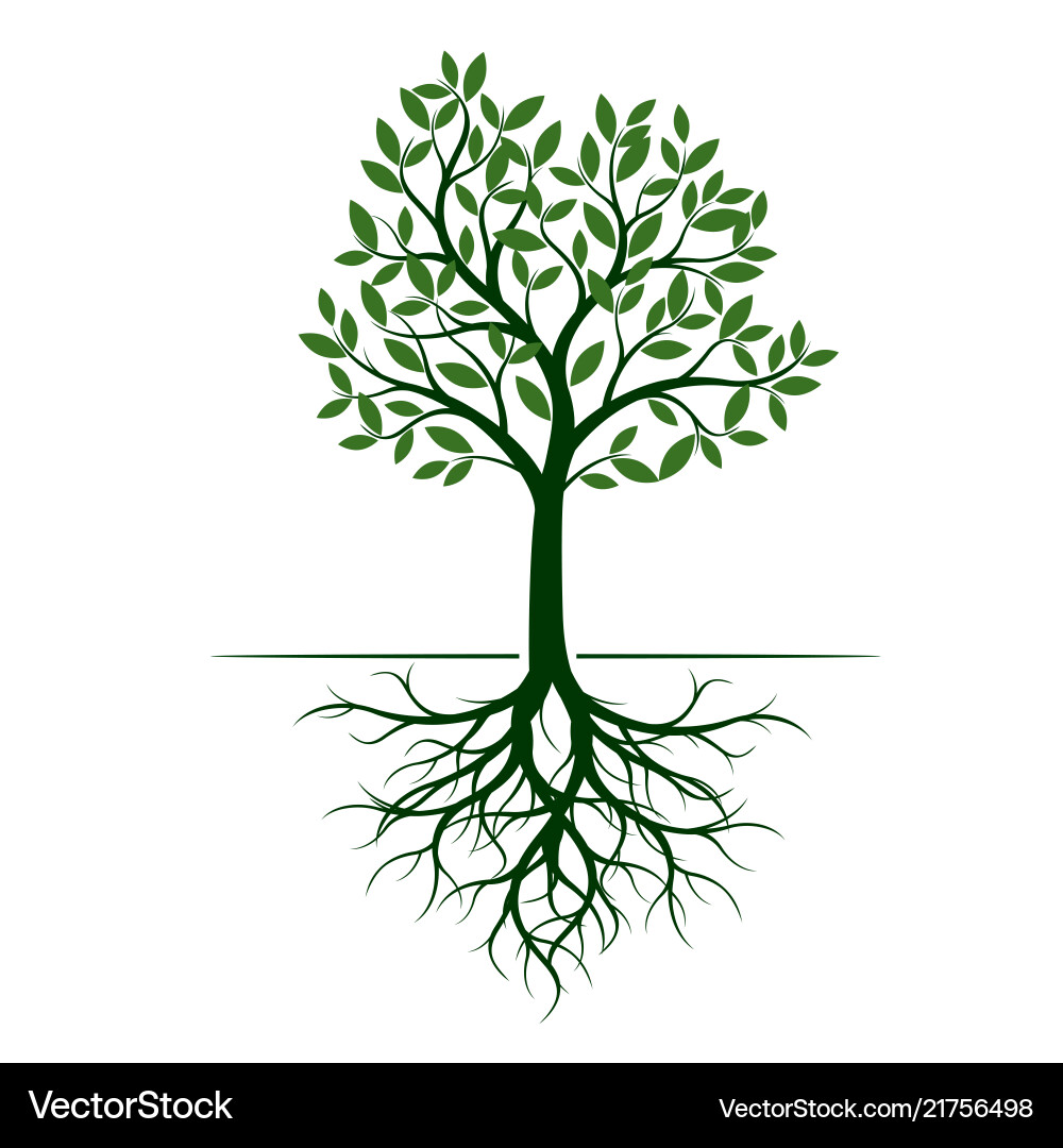 Green tree with roots Royalty Free Vector Image