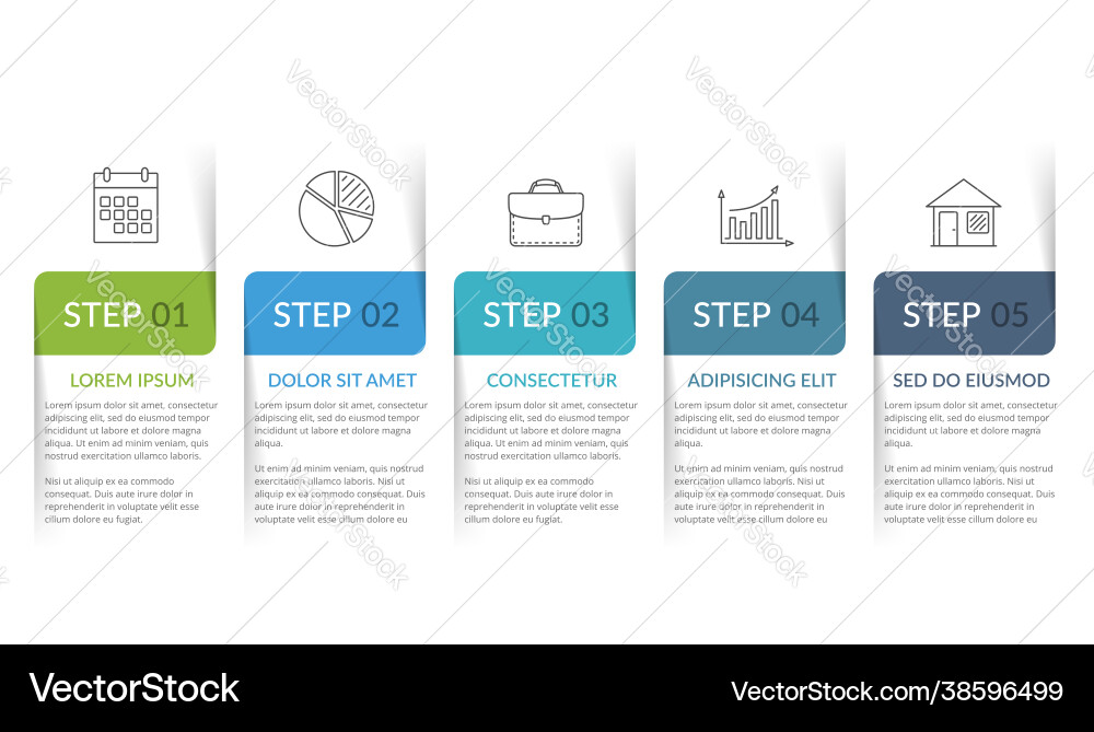 5 Steps Workflow Infographic Template Vector Image