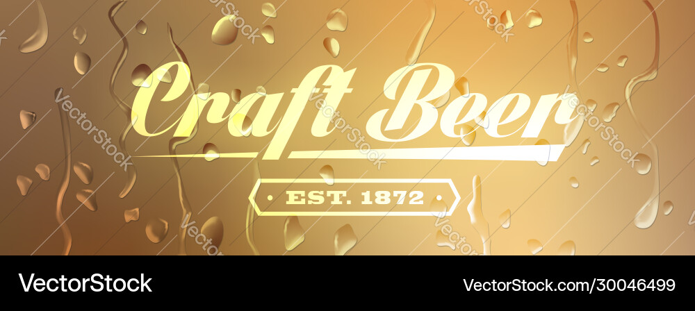 Craft beer sign on defocused background with water Craft beer sign on defocused background with water vector image