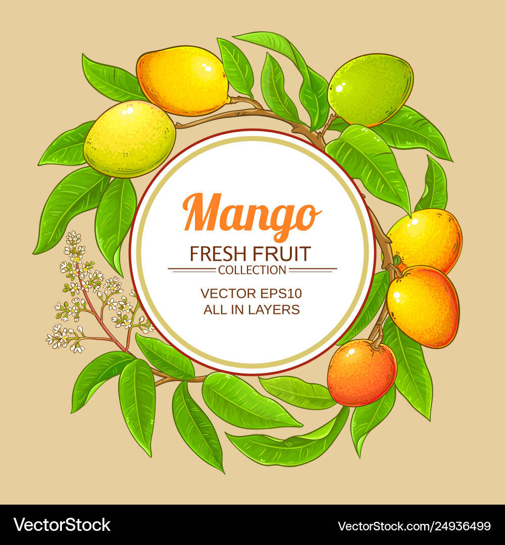 Mango branches frame on color background Vector Image