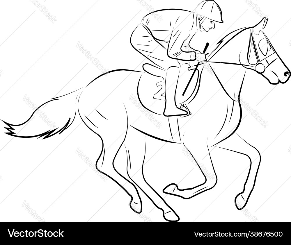 Horse Jockey Line Art Vector Image