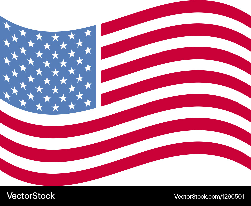 Dynamic American Flag vector image