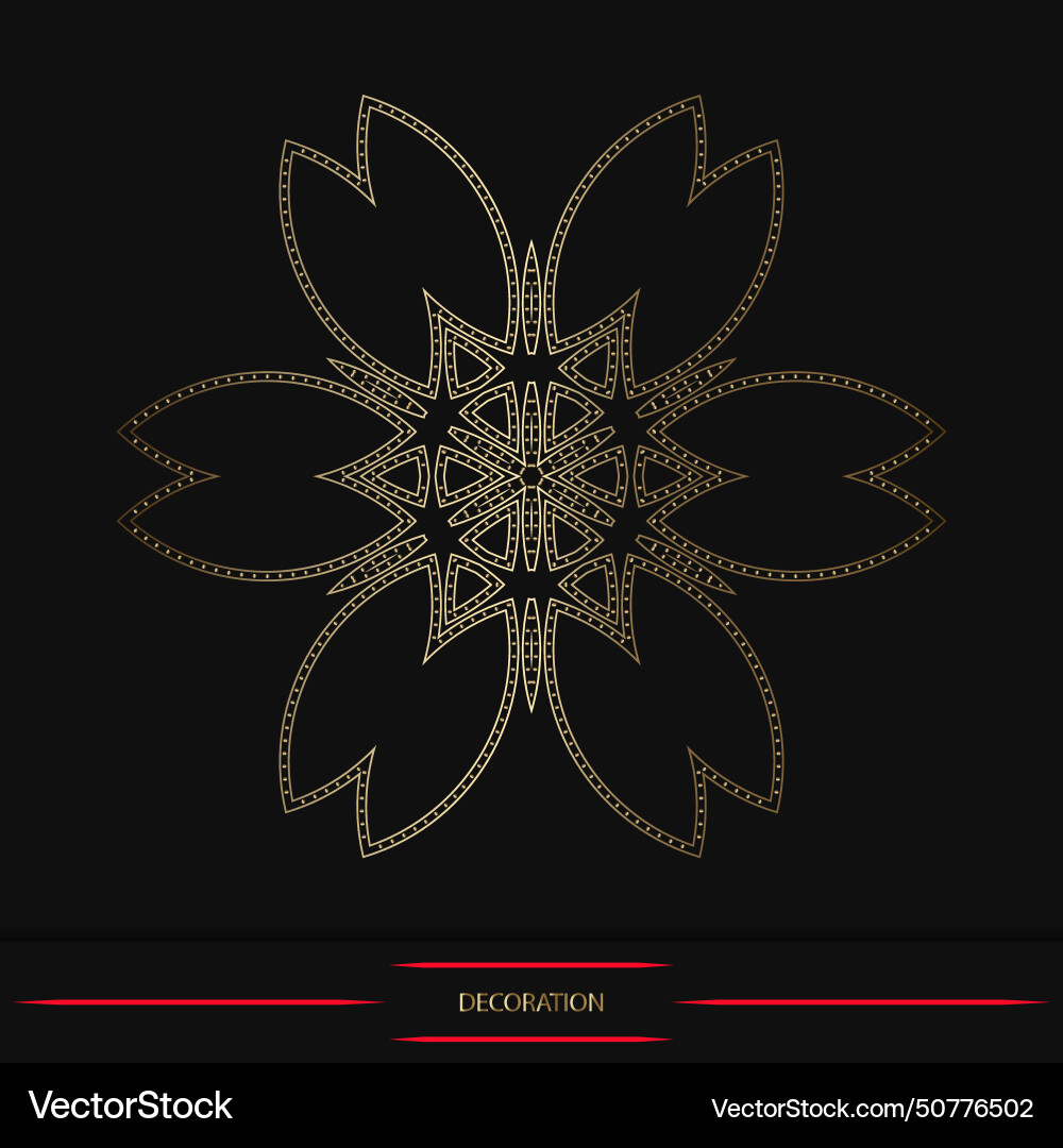 Circle golden pattern on black background Vector Image