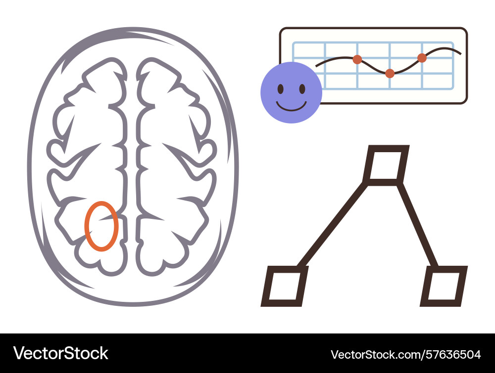 Brain structure with highlighted region data vector image