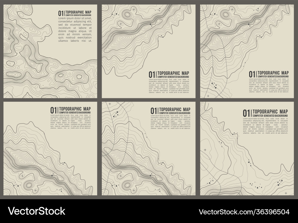Grey Topographic Mountain Texture vector image