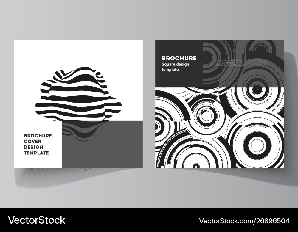 Minimal layout two square format Minimal layout two square format vector image