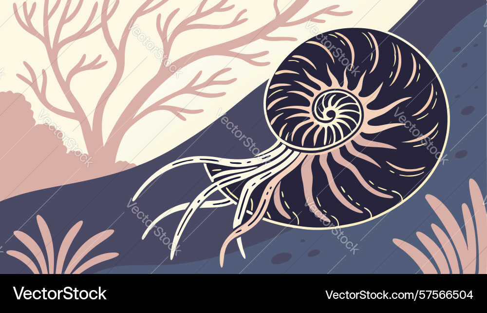 Nautilus shell in forest with vines design vector image
