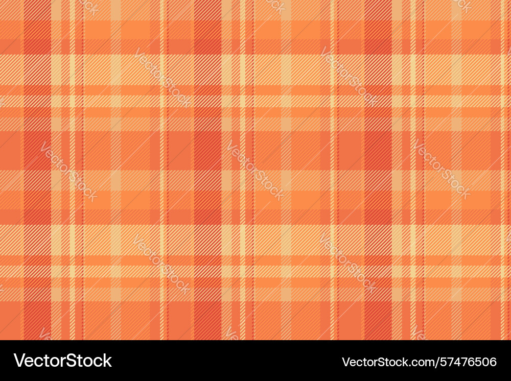 Checked texture seamless background multicultural Checked texture seamless background multicultural Vector Image