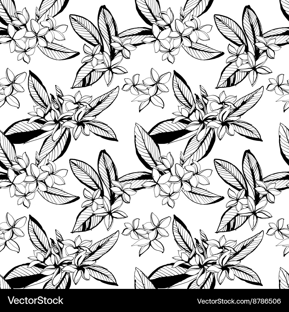 Tropical Plumeria Seamless Pattern vector image