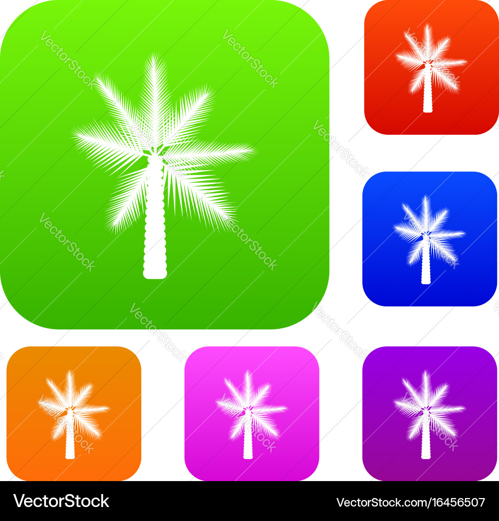 Big palm tree set collection Vector Image