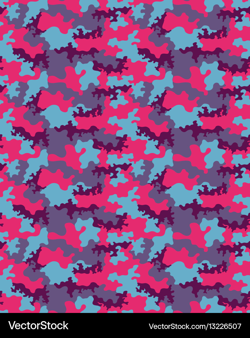 Modern Camouflage Pattern Vector Image