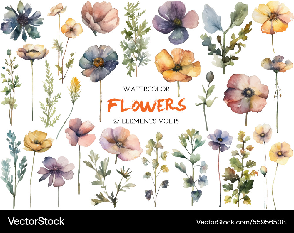 Watercolor painted flower hand drawn Watercolor painted flower hand drawn Vector Image