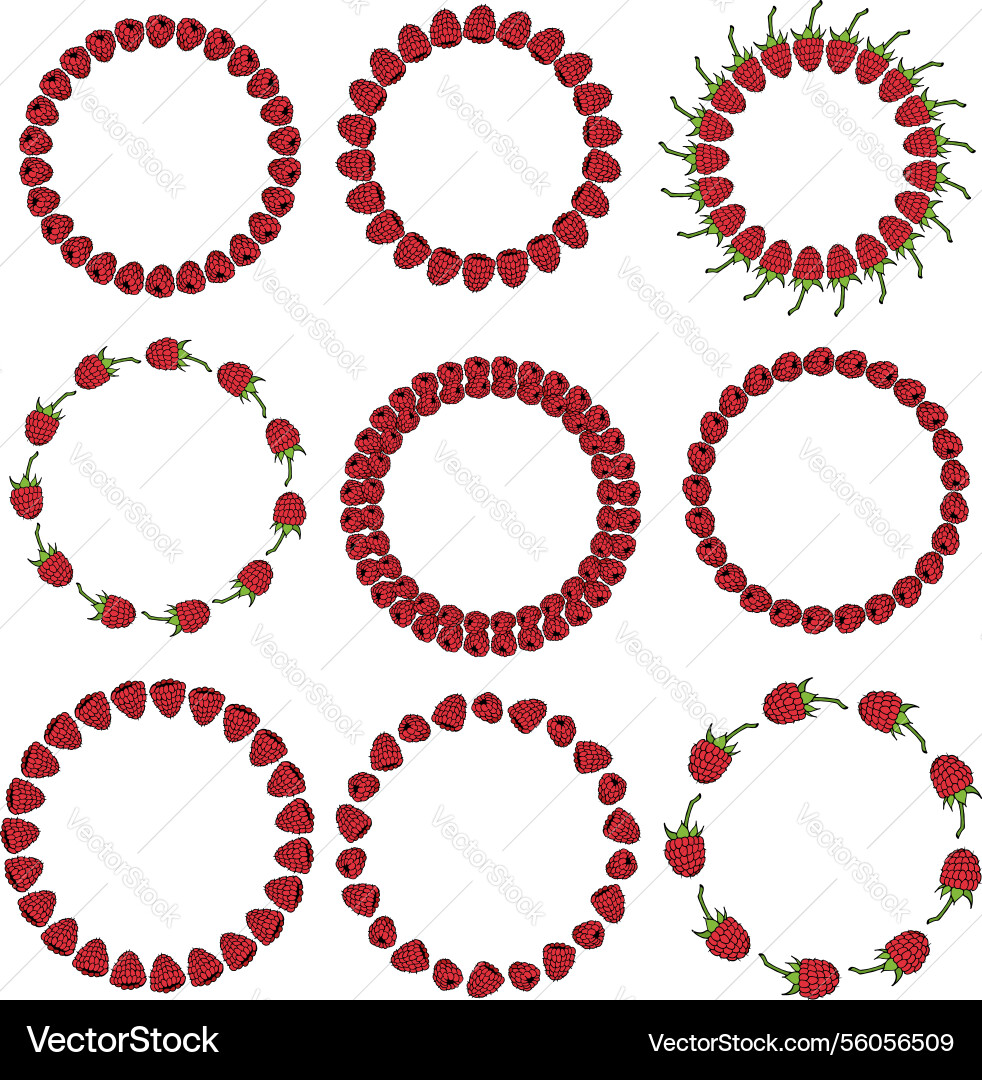 Collection with round frames red raspberry Vector Image