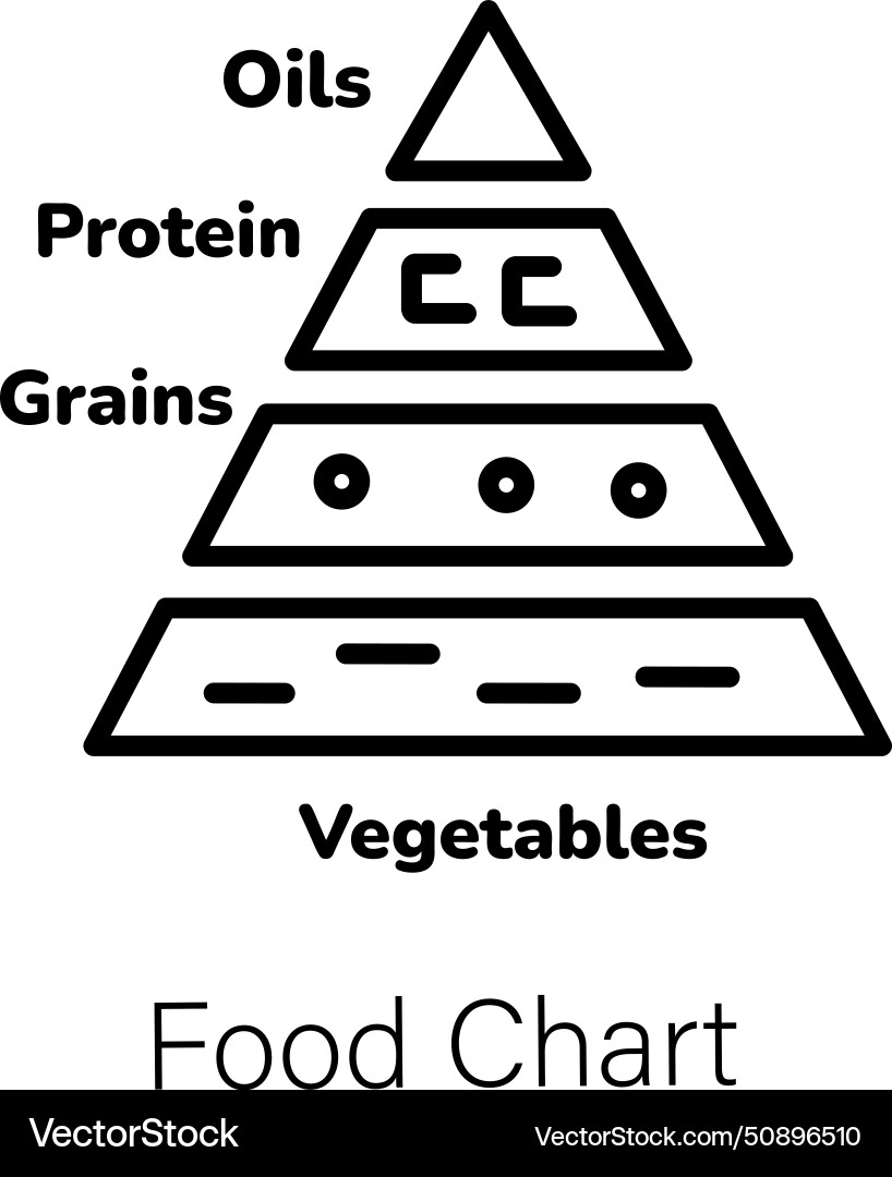 Food Chart Royalty Free Vector Image VectorStock