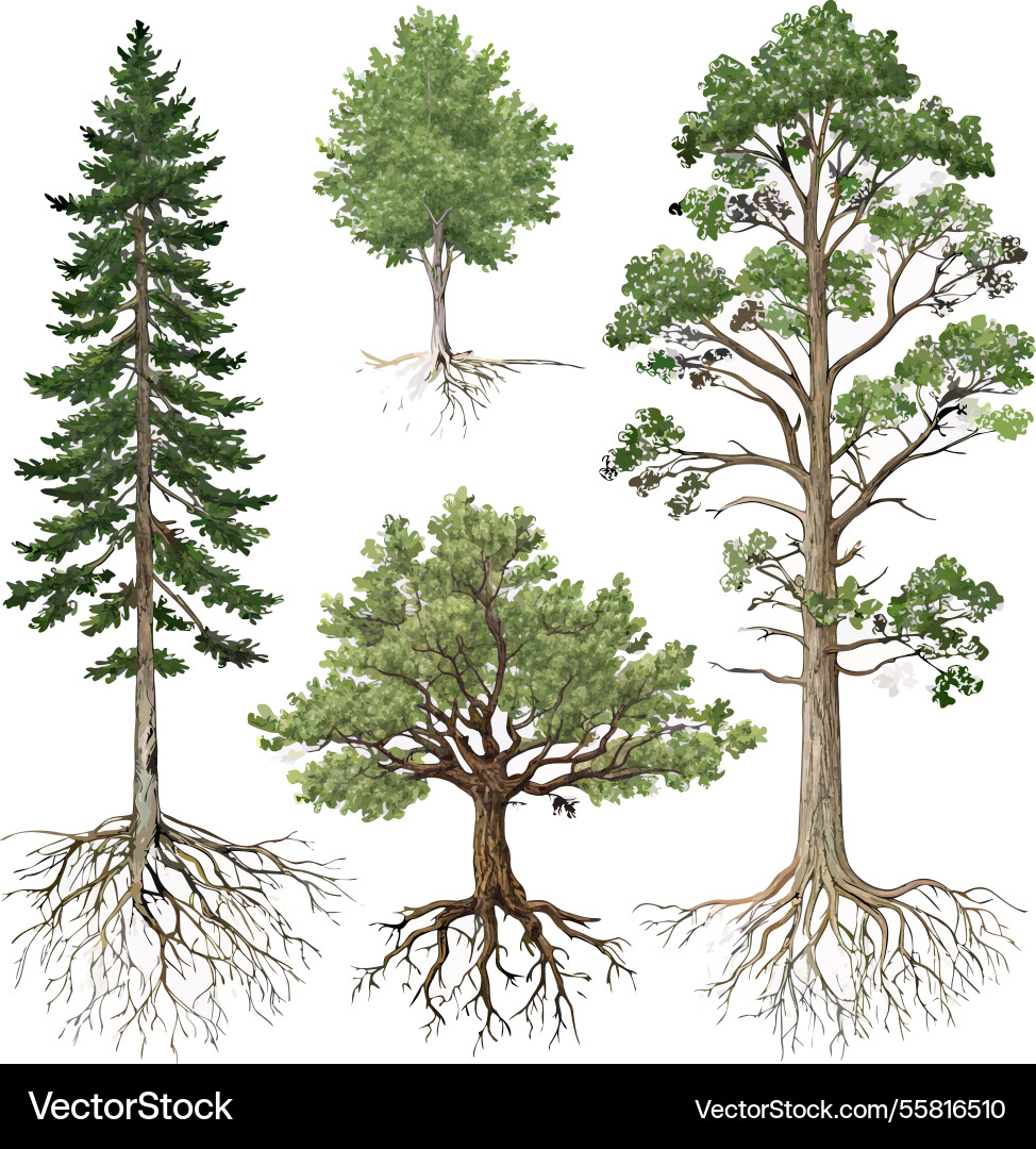 Tree silhouette collection image Tree silhouette collection image vector image