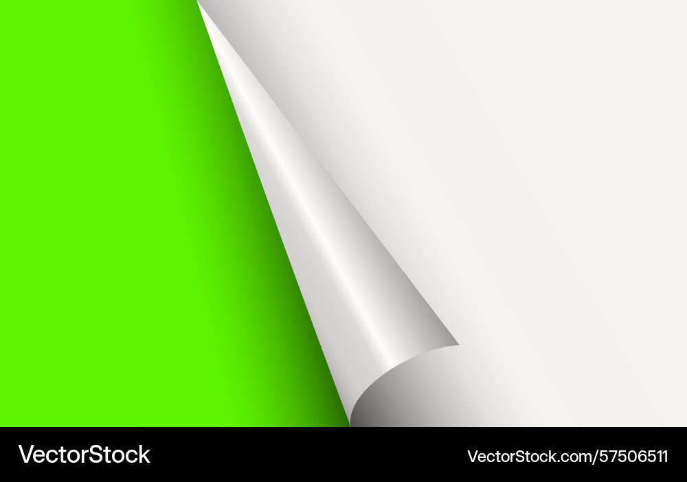 Page curl curled color paper blank sheet Vector Image