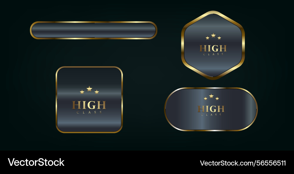 Set of four different shapes luxury circle button Set of four different shapes luxury circle button vector image