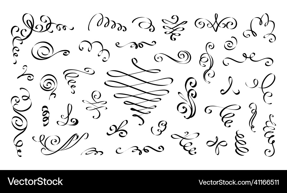 Swirl calligraphic line flourish script border Swirl calligraphic line flourish script border vector image