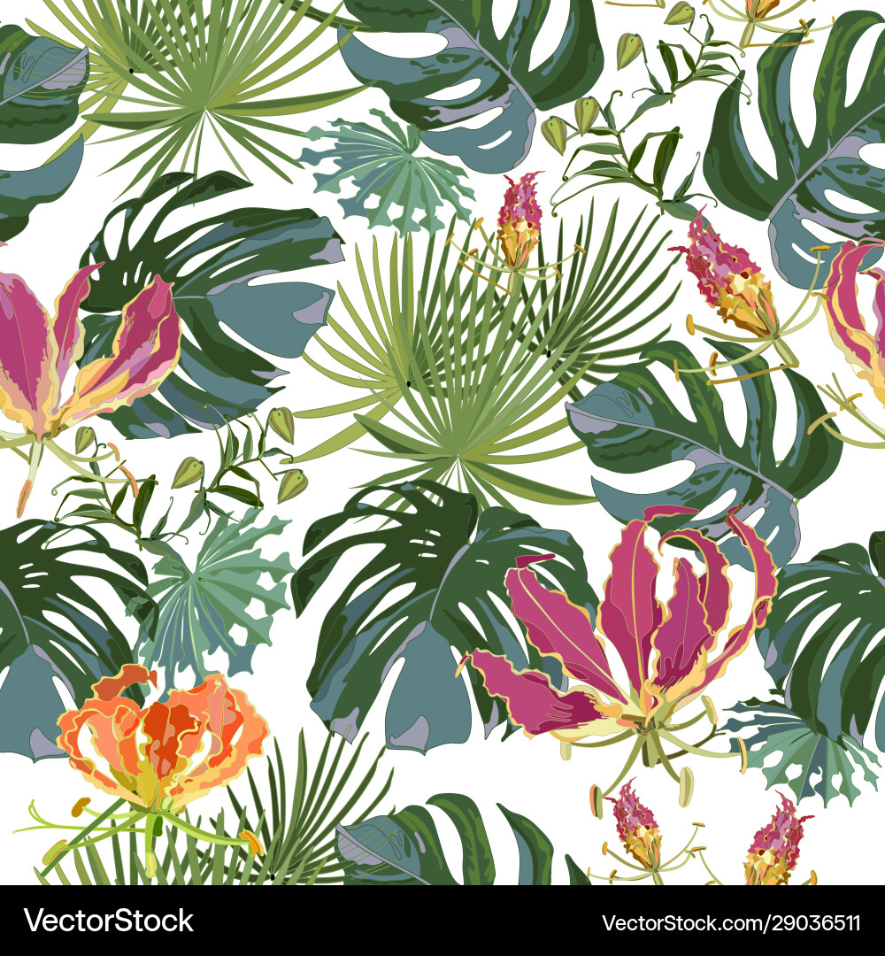 Tropical plants and flowers gloriosa vector image