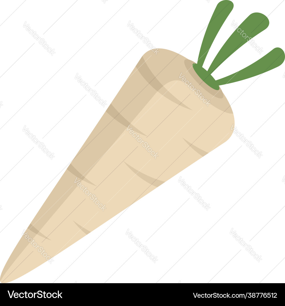 Parsnip icon flat isolated Parsnip icon flat isolated Vector Image