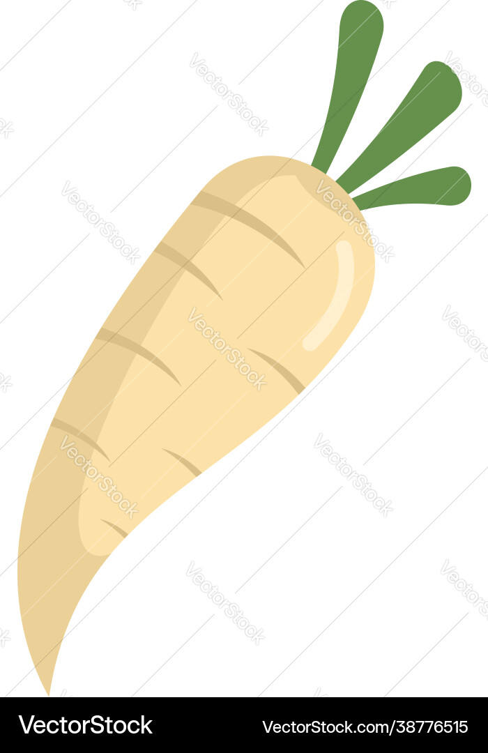Diet parsnip icon flat isolated Diet parsnip icon flat isolated vector image
